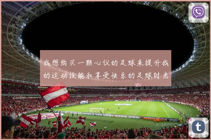 我想购买一颗心仪的足球来提升我的运动技能和享受快乐的足球时光